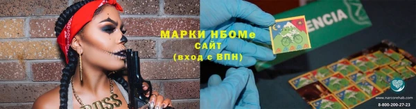 сатива Абаза