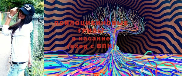 сатива Абаза